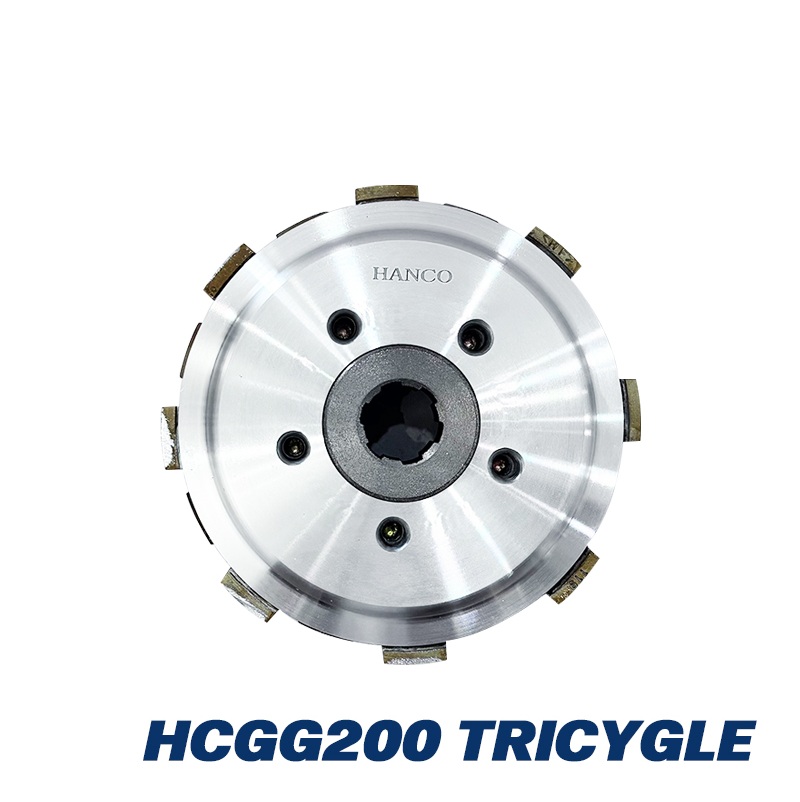 HCGG200 TRICYGLE(3)